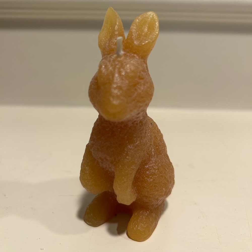 Illuminations Honey Bunny Candle Set - Picture 4 of 13